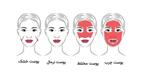 شناخت آناتومی و لایه های پوست در آموزشگاه آرایشگری زنانه گل گیس تهرانپارس (شرق تهران)